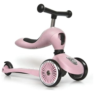 Patinete 2 en 1 Scoot & Ride